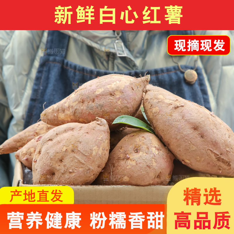 白心红薯
