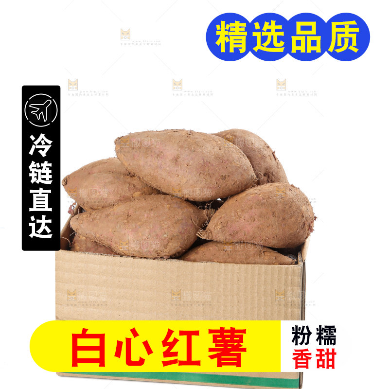 白心红薯