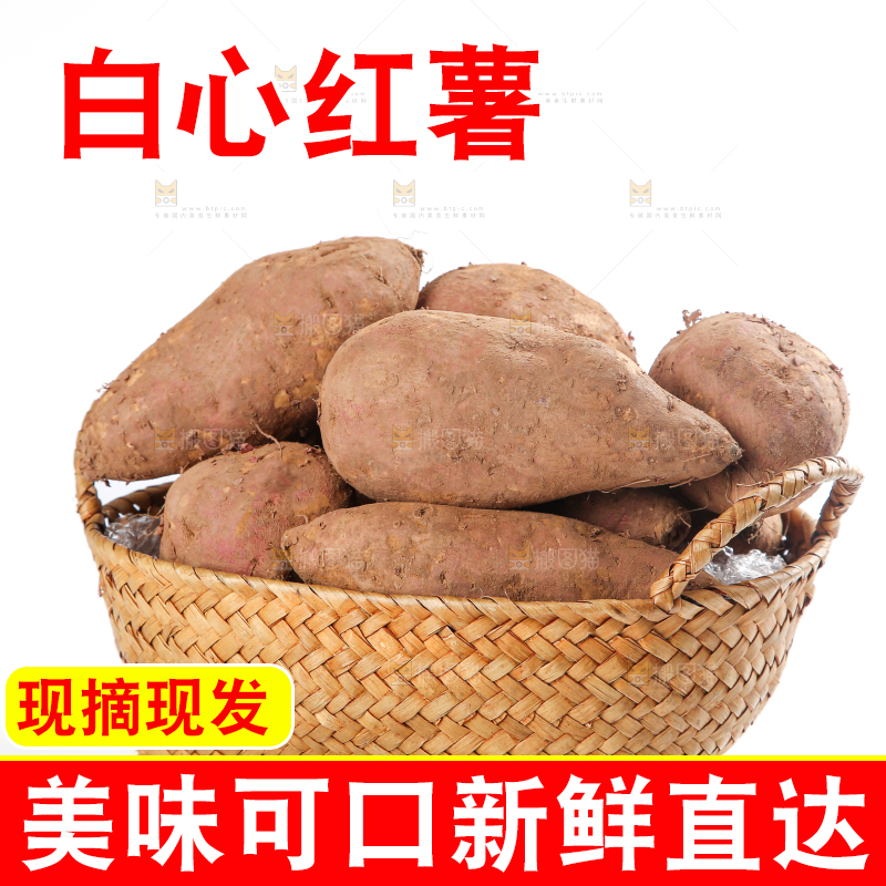 白心红薯