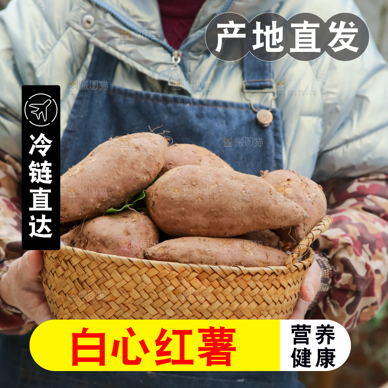 白心红薯