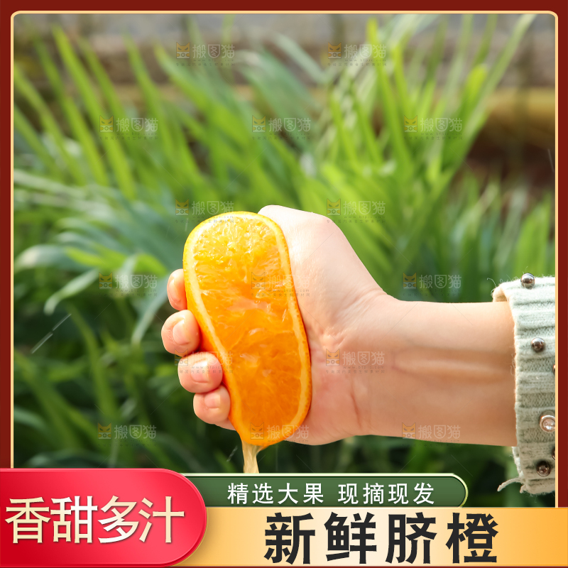 脐橙