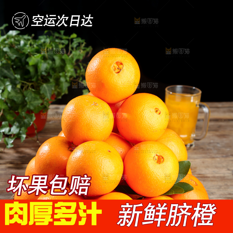 脐橙