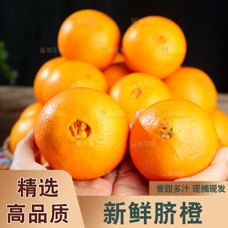 脐橙