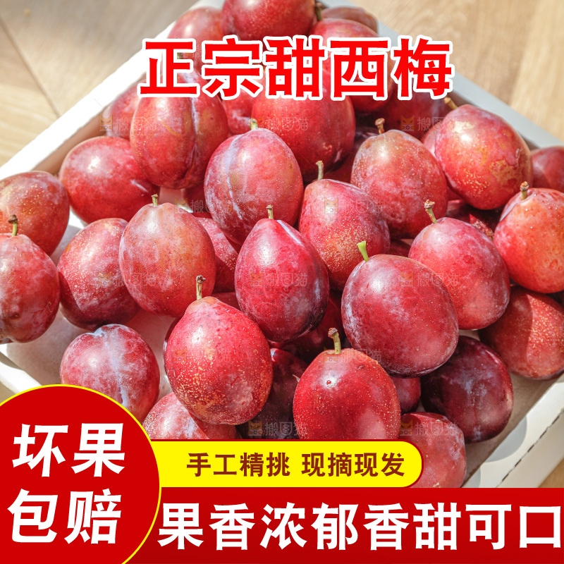 西梅