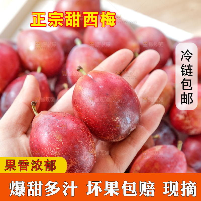 西梅