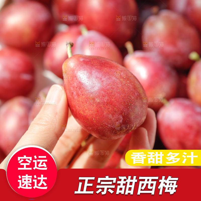 西梅