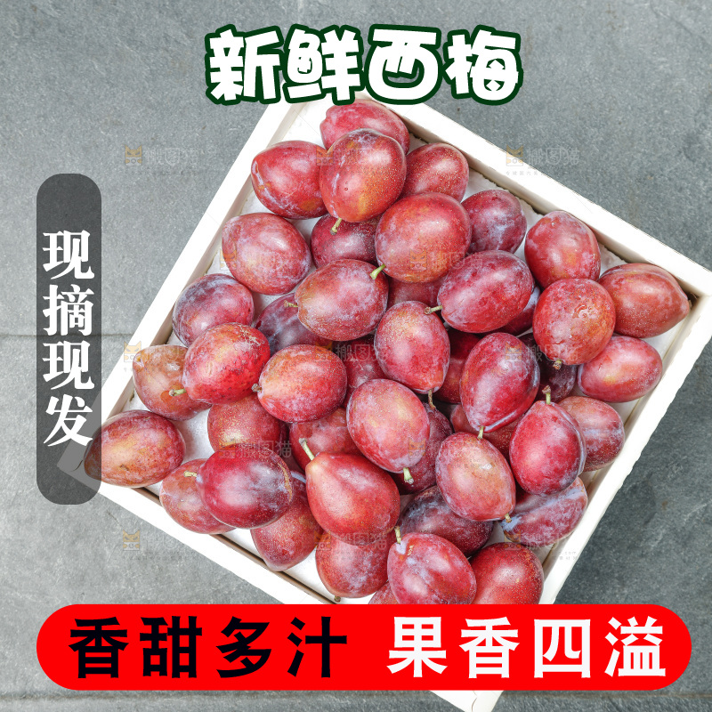 西梅