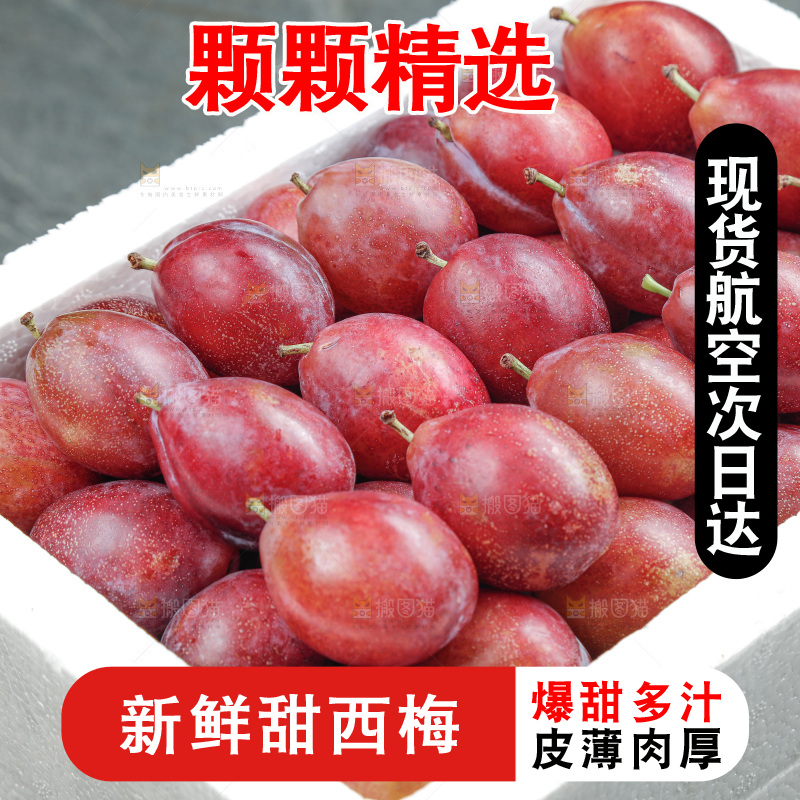 西梅