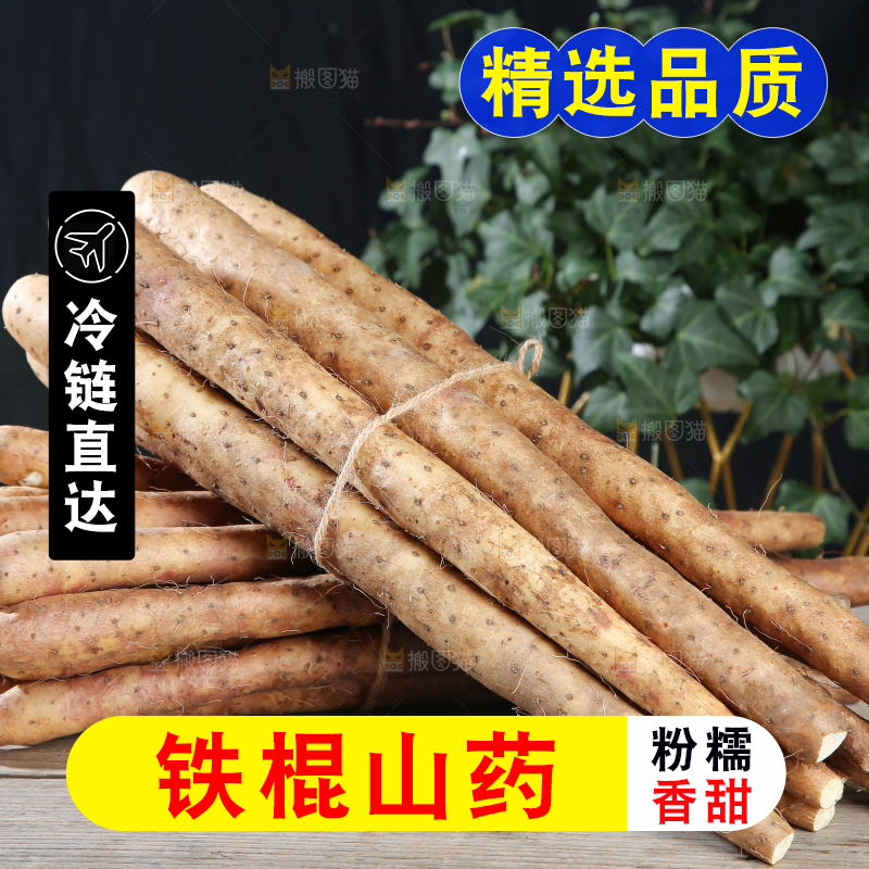 铁棍山药