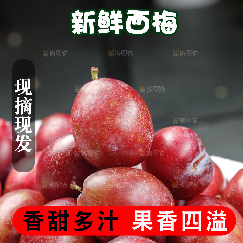 西梅