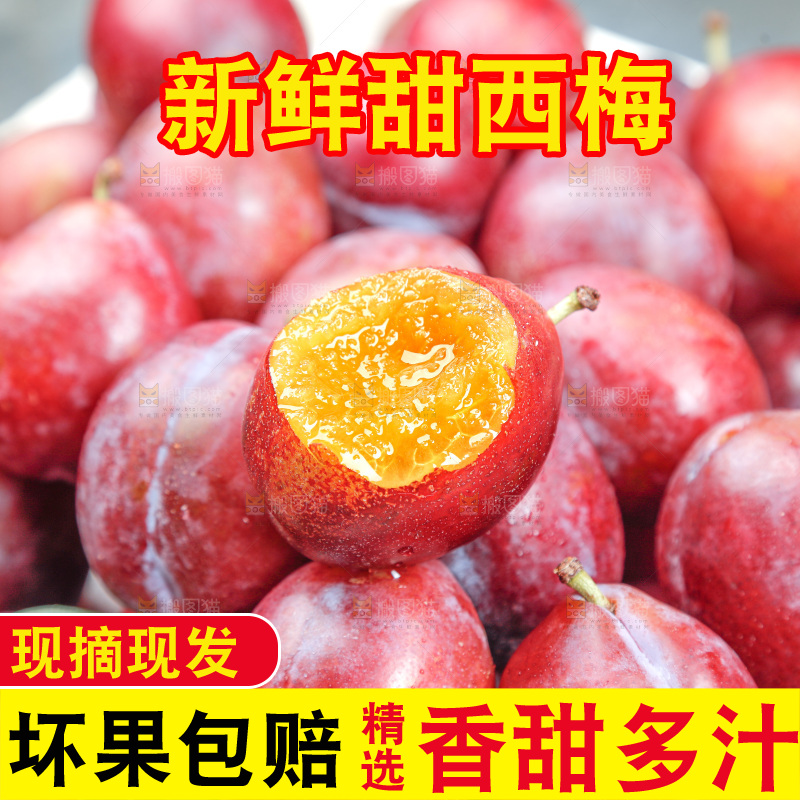 西梅