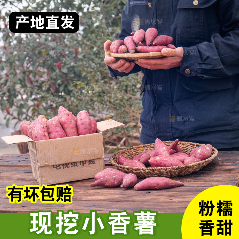 小香薯