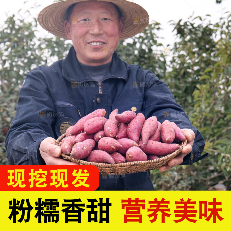 小香薯