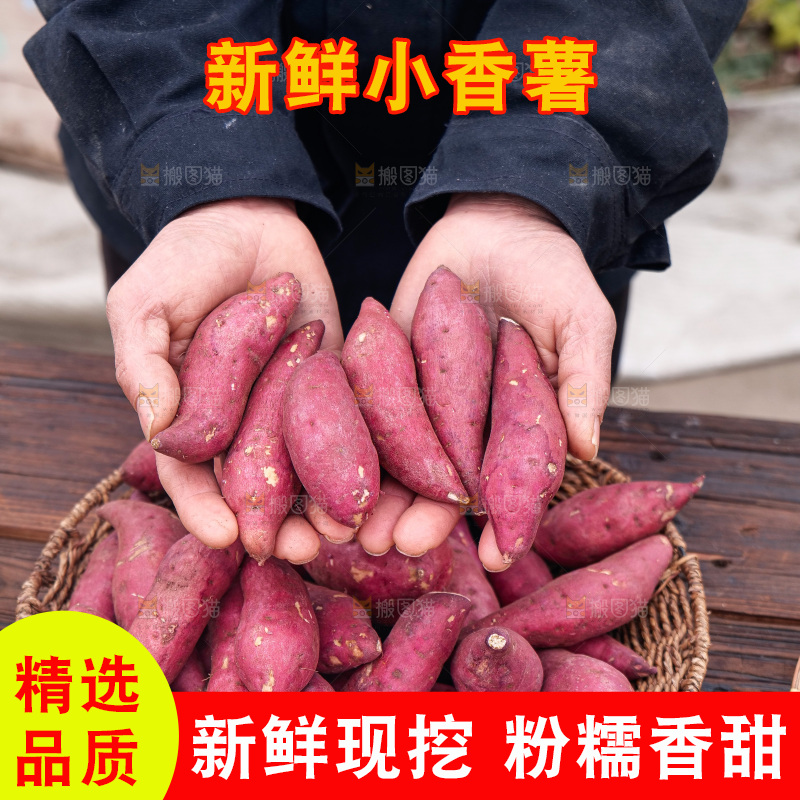 小香薯