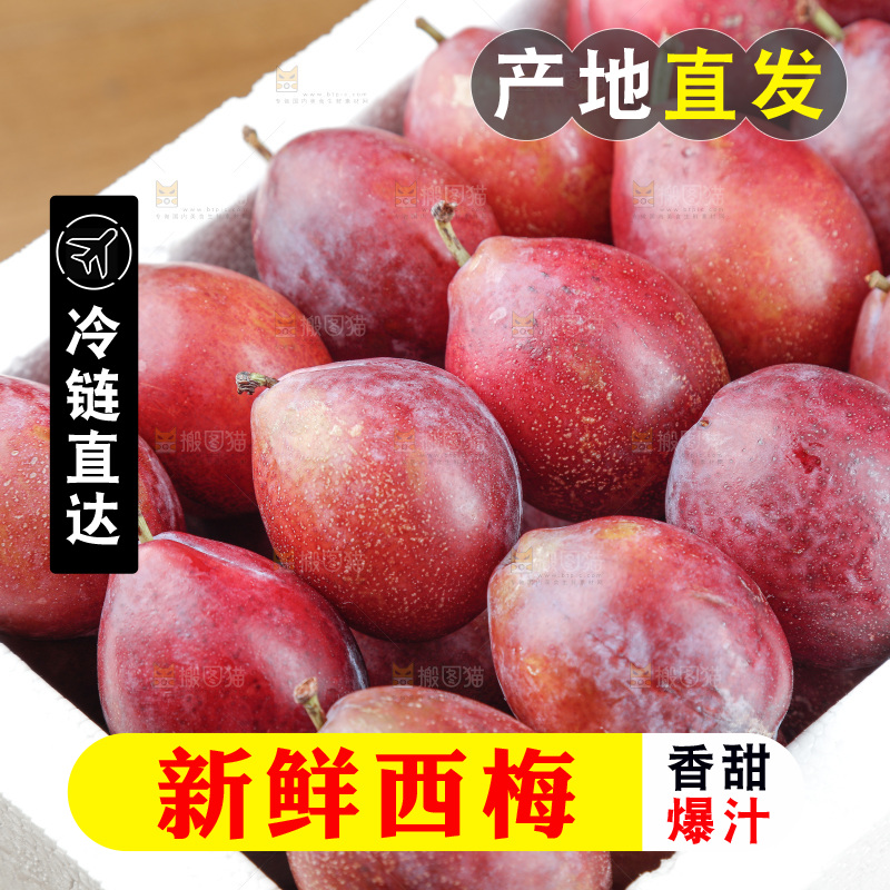 西梅