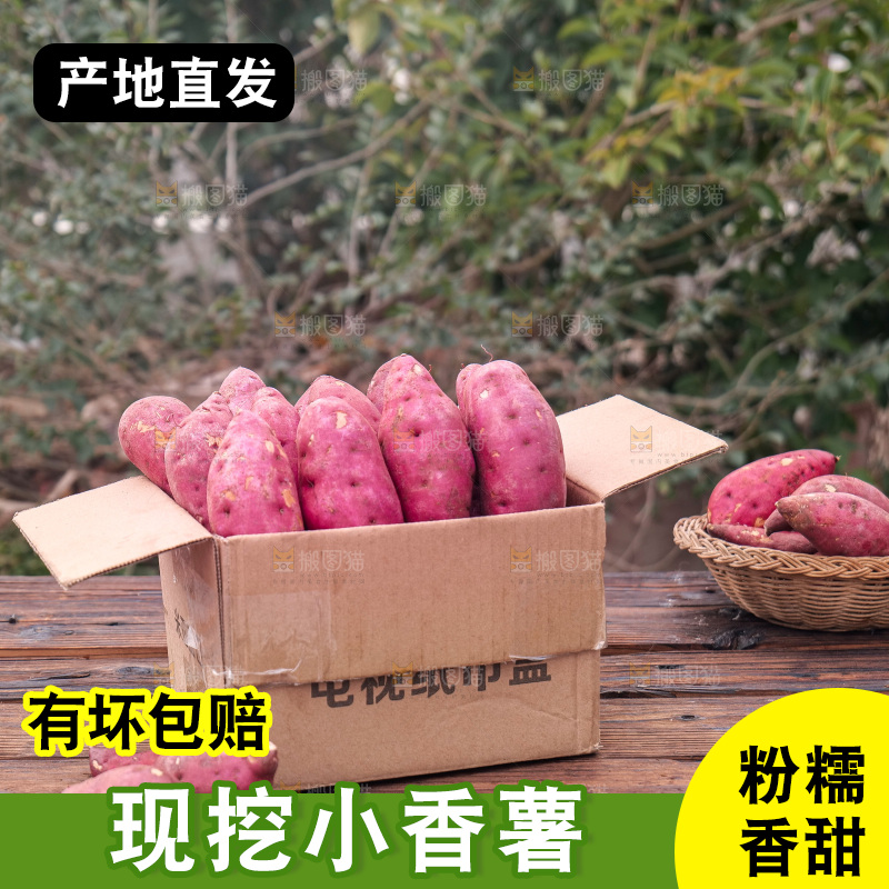小香薯