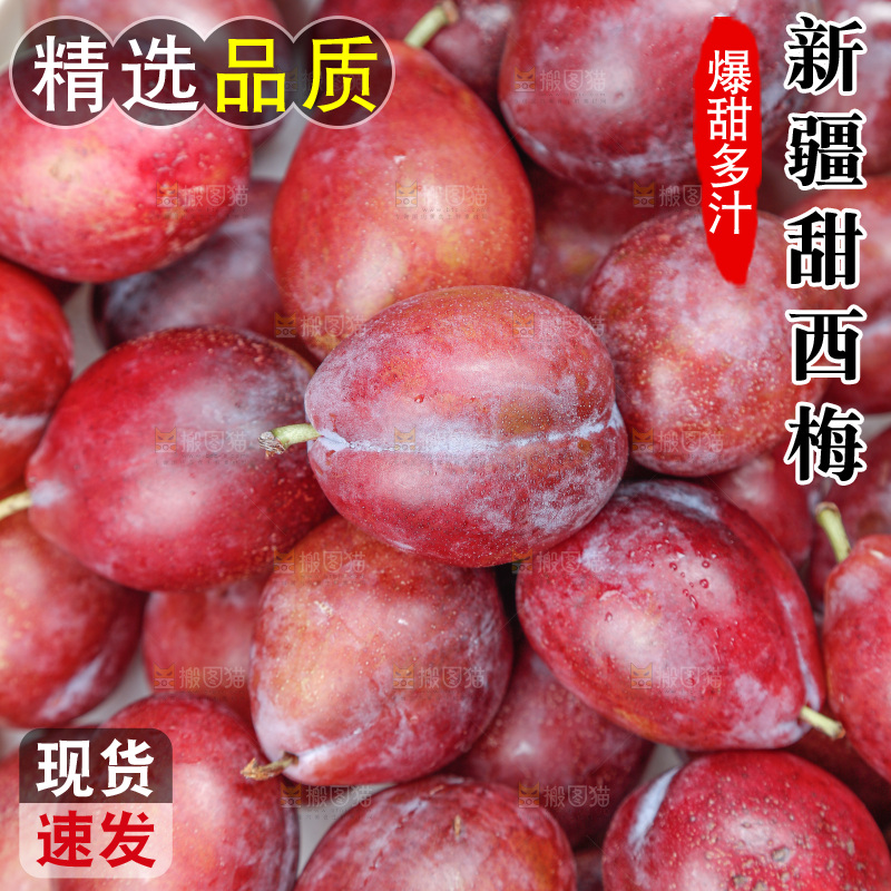 西梅