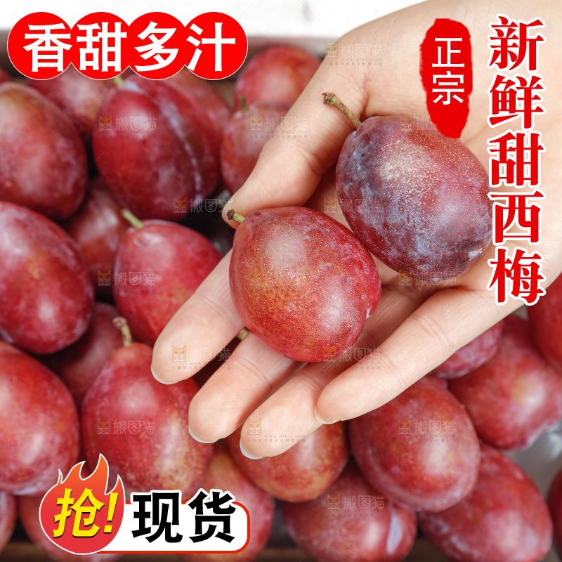 西梅