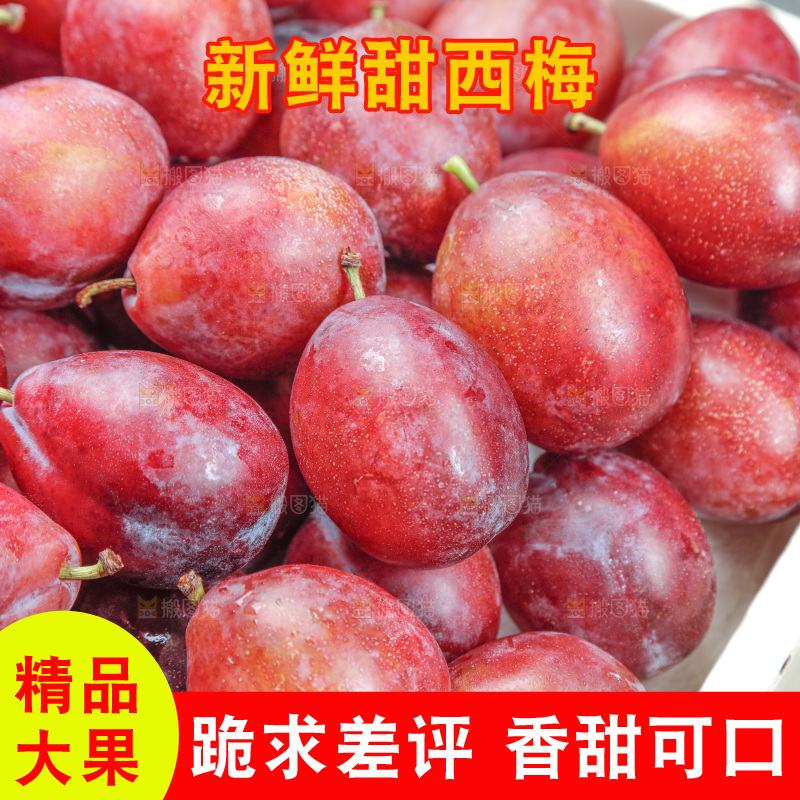 西梅