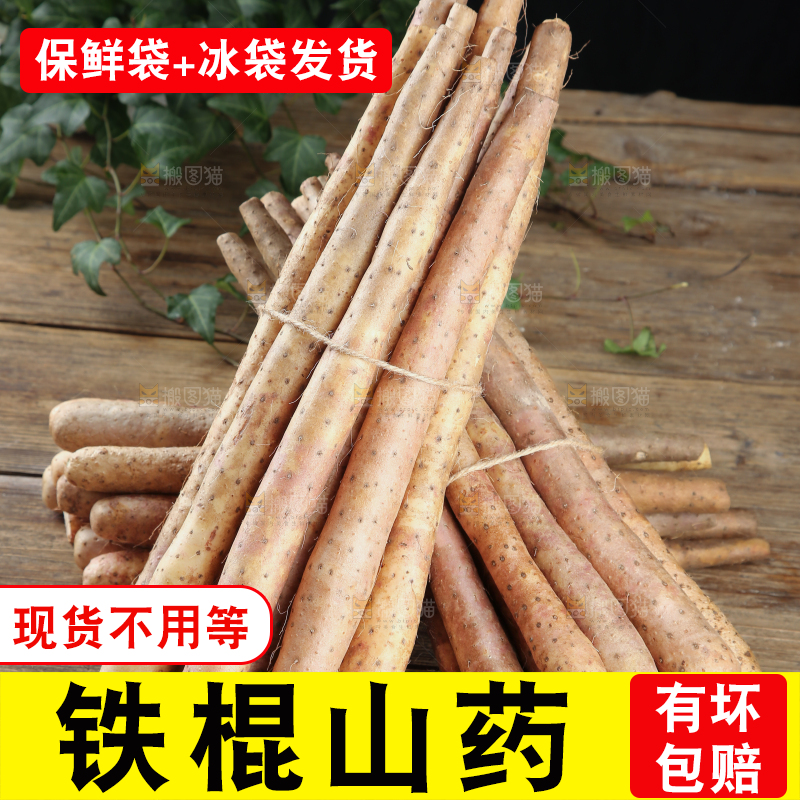 铁棍山药
