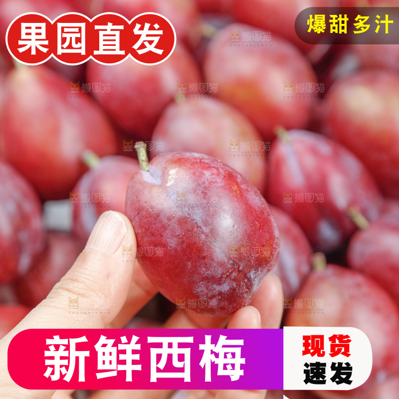 西梅