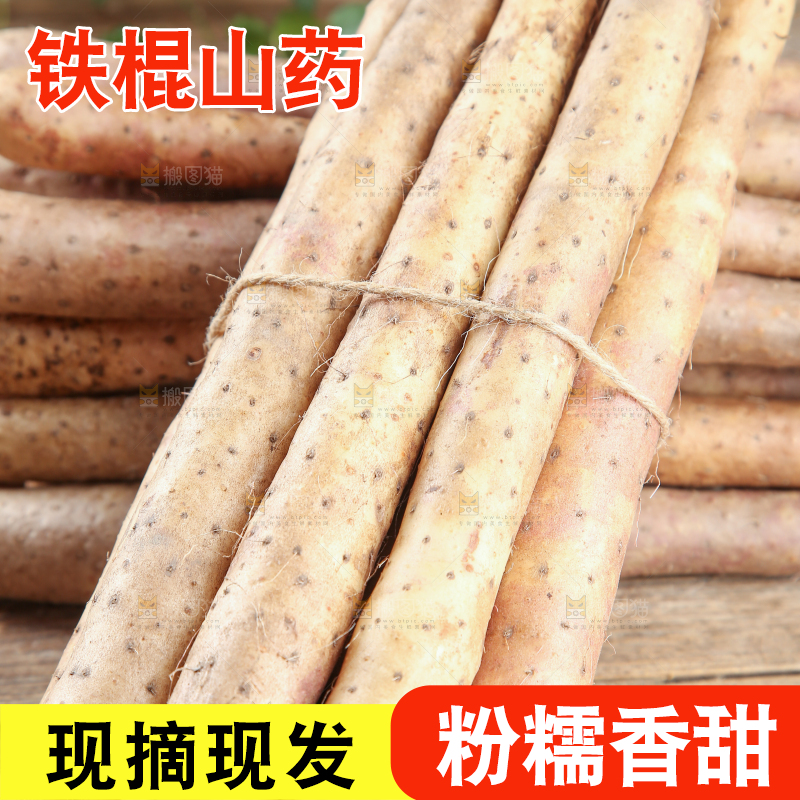 铁棍山药
