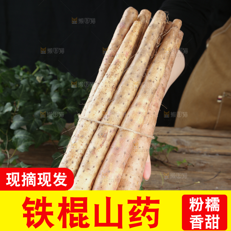 铁棍山药