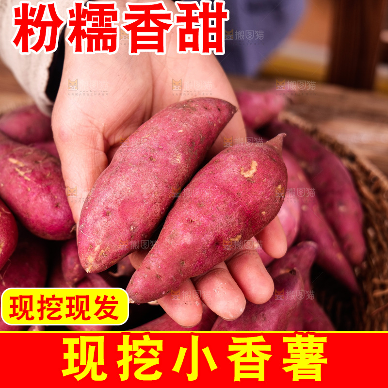 小香薯