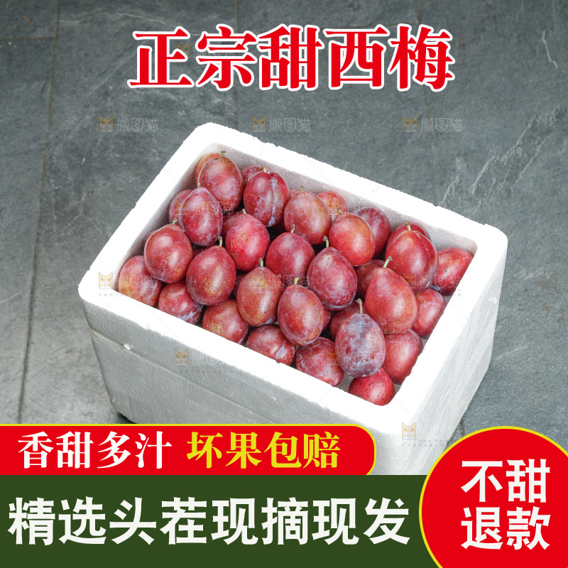 西梅