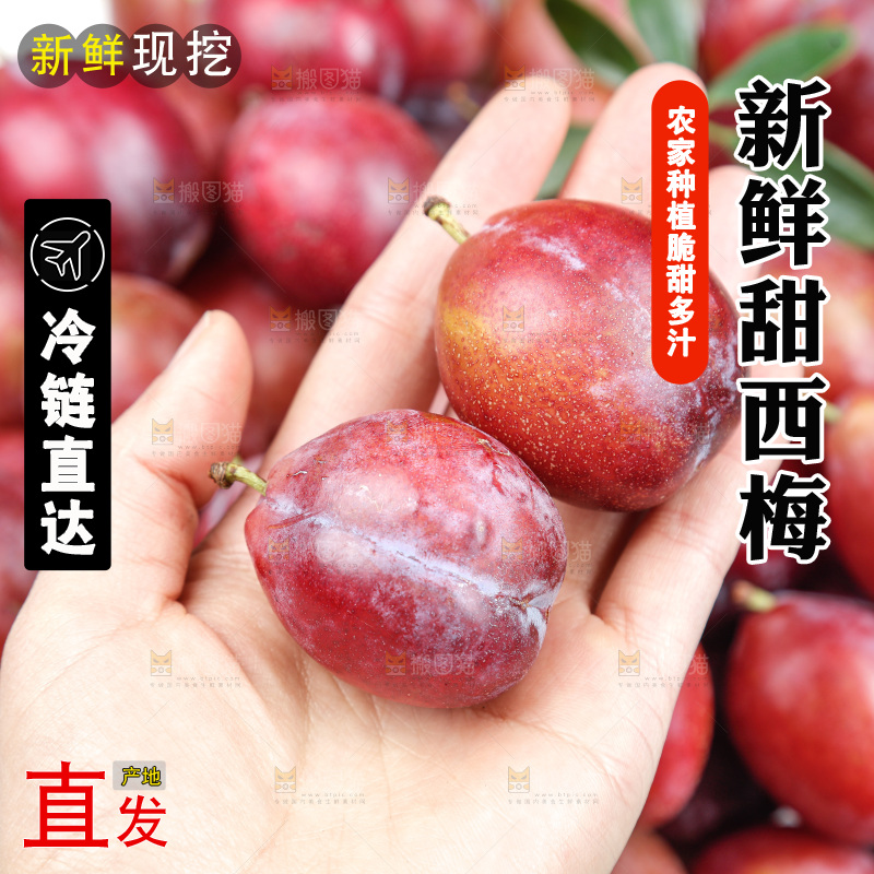 西梅