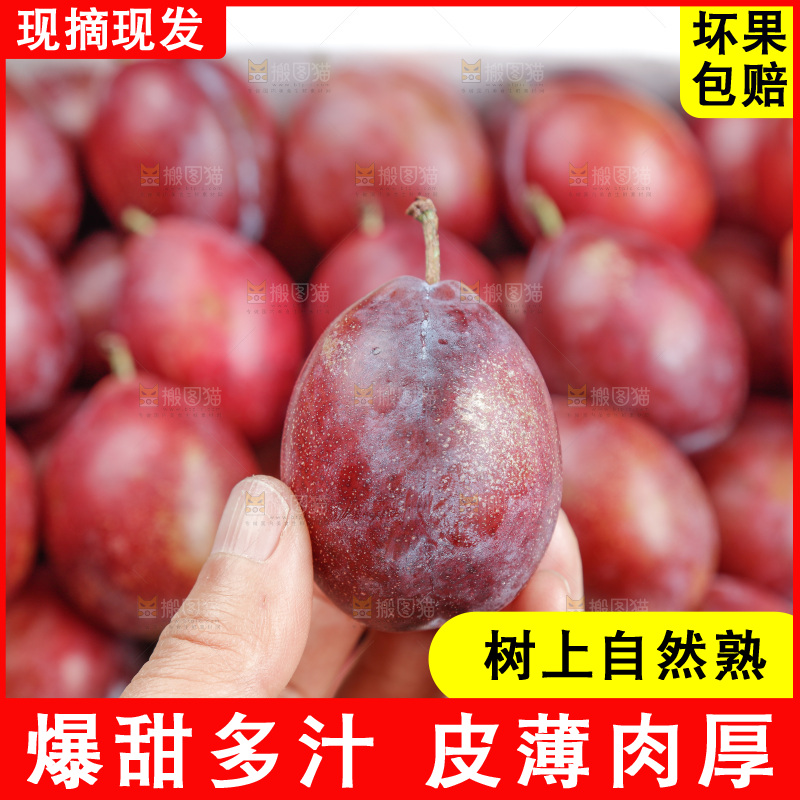 西梅