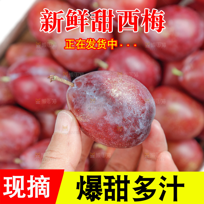 西梅