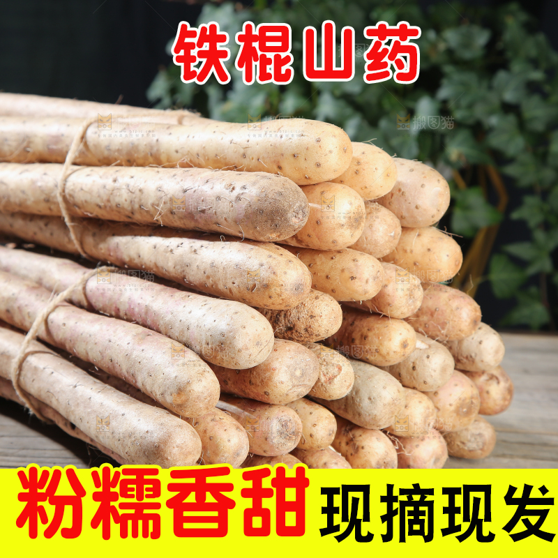 铁棍山药