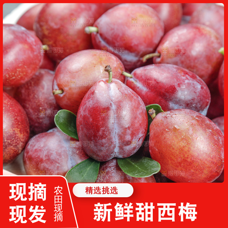 西梅