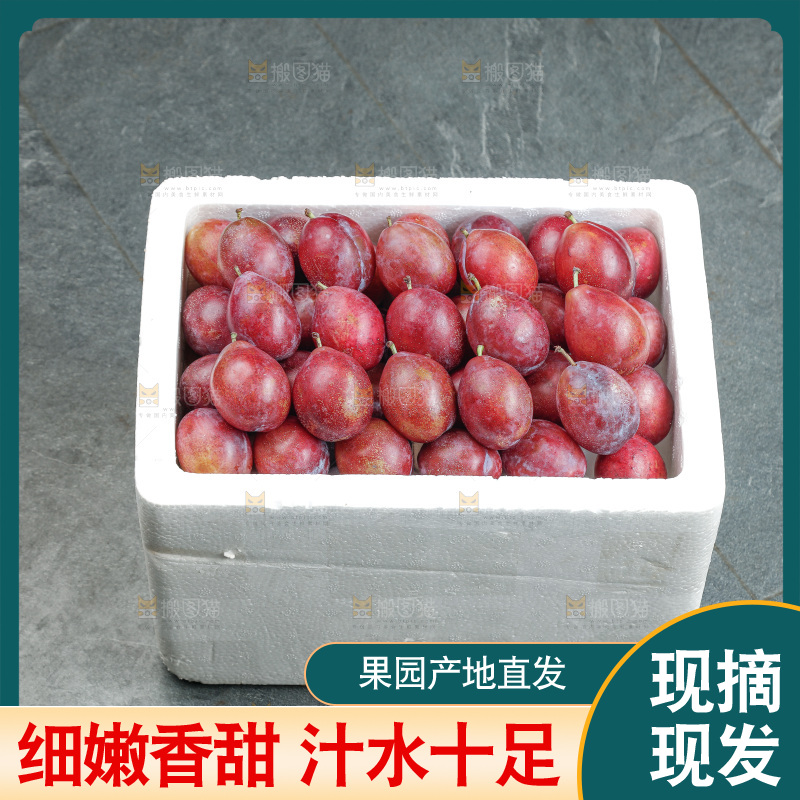 西梅