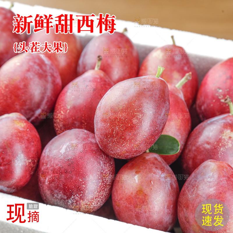 西梅