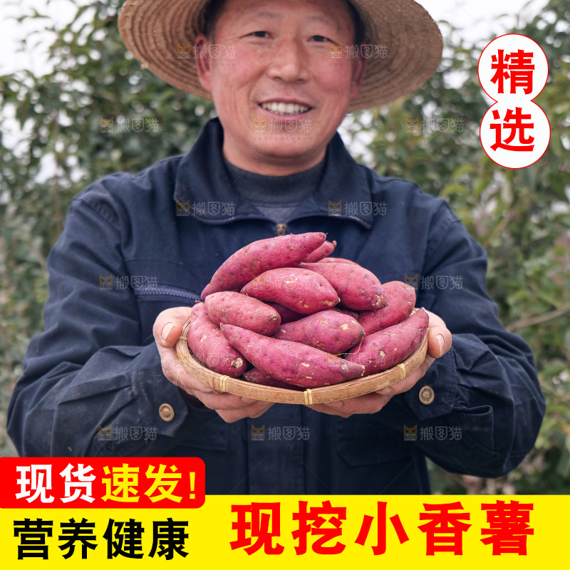 小香薯