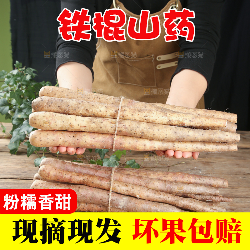 铁棍山药