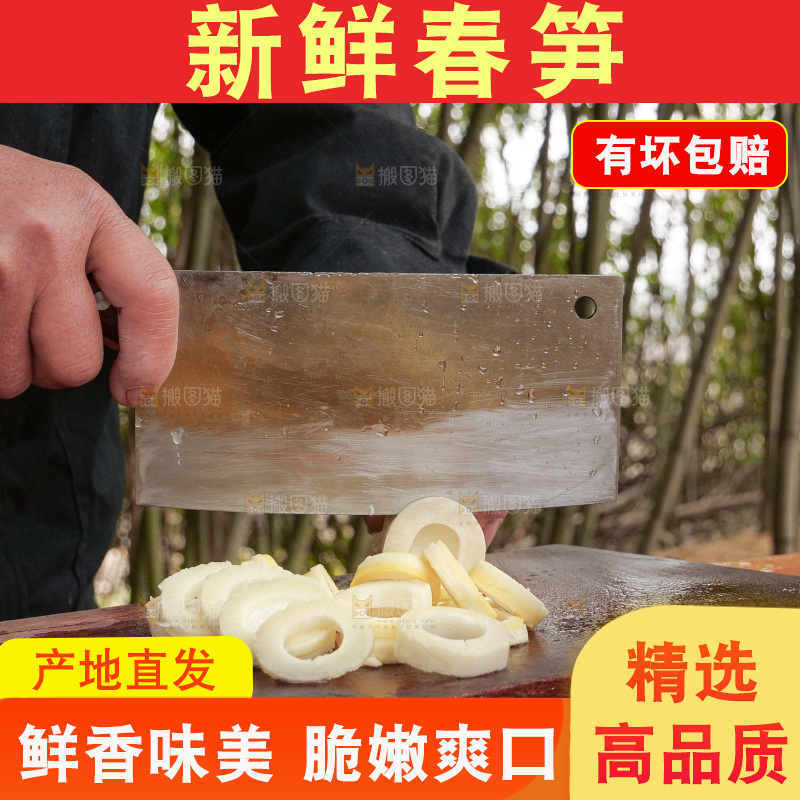 春笋