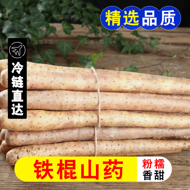 铁棍山药