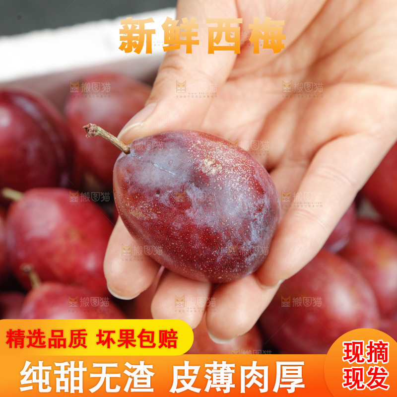 西梅