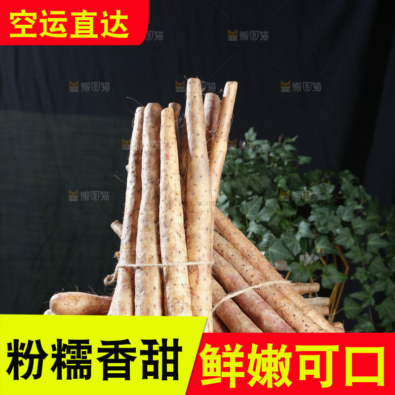 铁棍山药