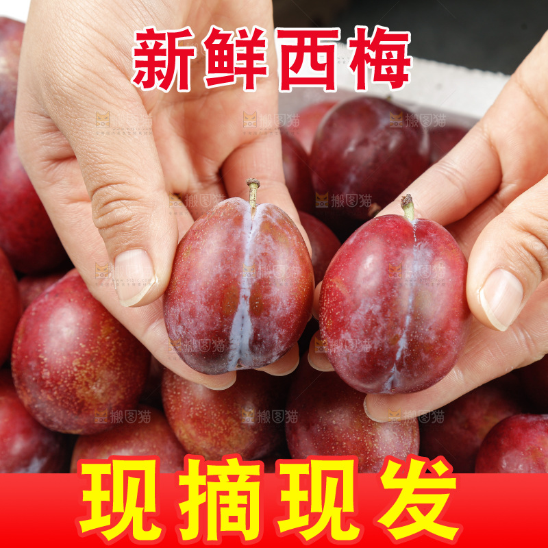西梅