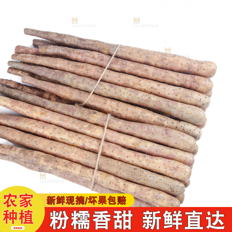 铁棍山药