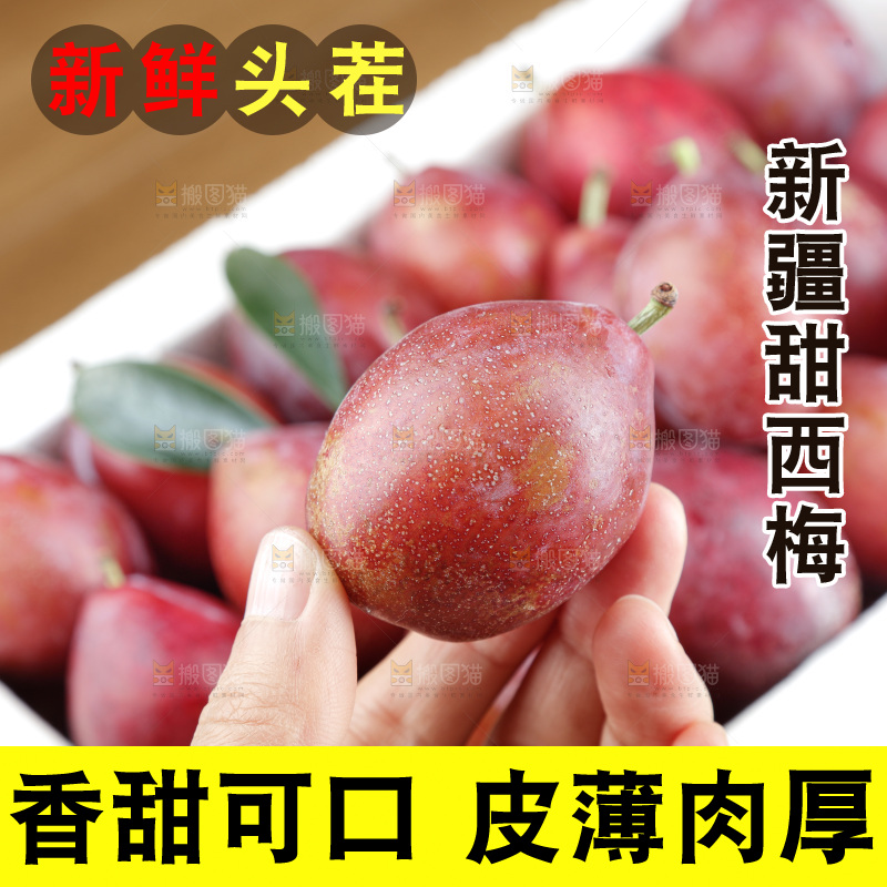 西梅