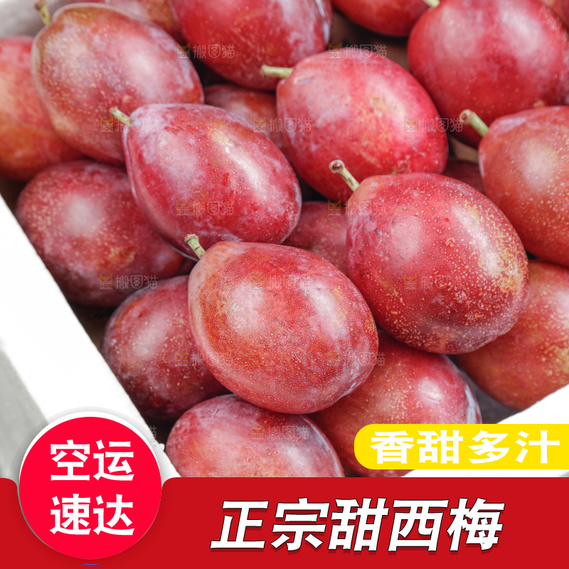 西梅