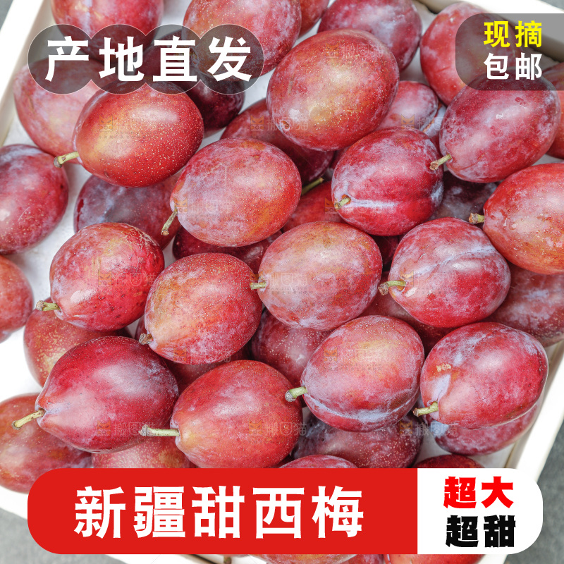 西梅