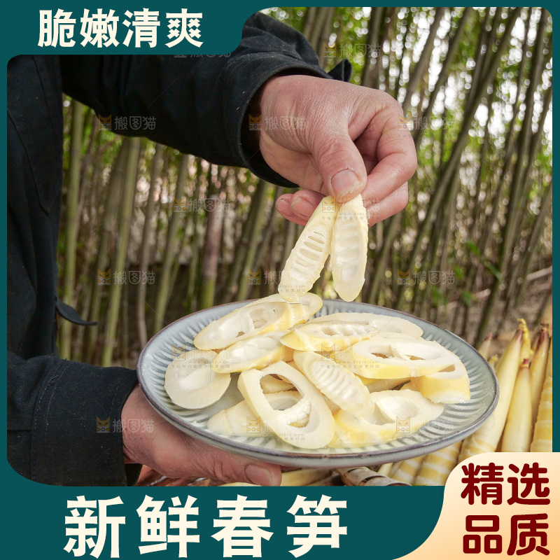 春笋