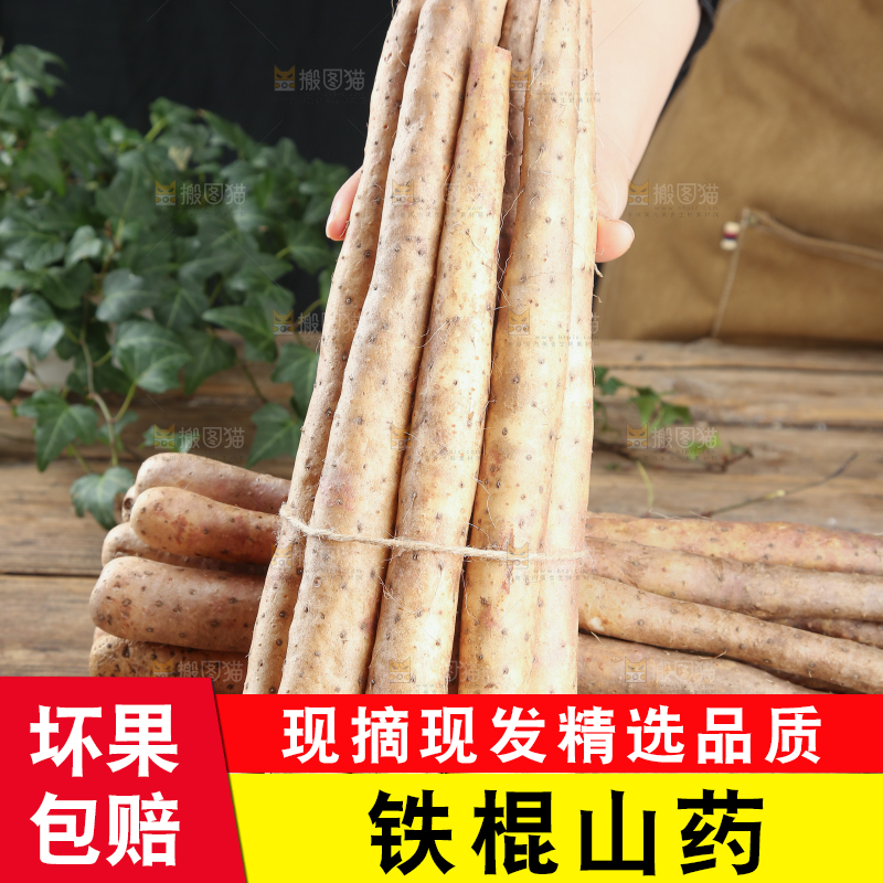 铁棍山药