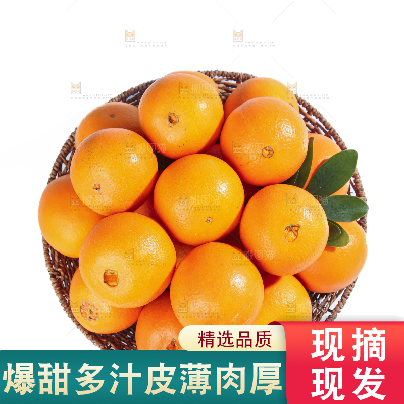 脐橙